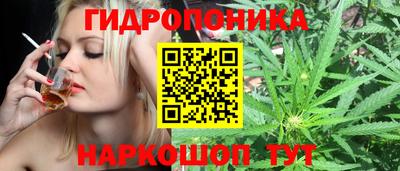 PSILOCYBIN Можайск