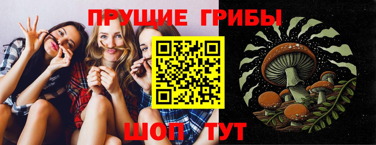 Галлюциногенные грибы Psilocybe  Вход с VPN  Галлюциногенные грибы ЛСД  Вичуга 